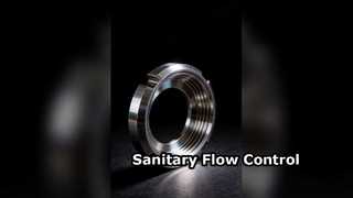 สหภาพมาตรฐาน SMS