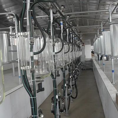 ราคาดี Dairy Farm Cow Goat Milking Parlor Glass Milk Flow Meter De Laval ออนไลน์